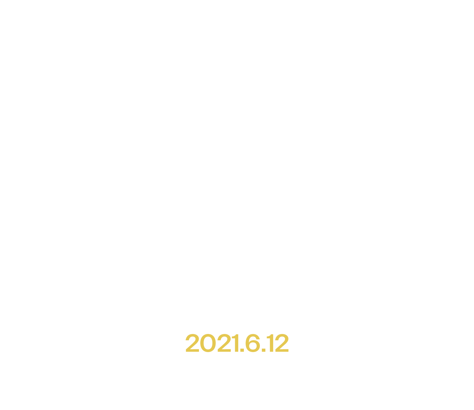 TOP CHAMPION IN JAPAN